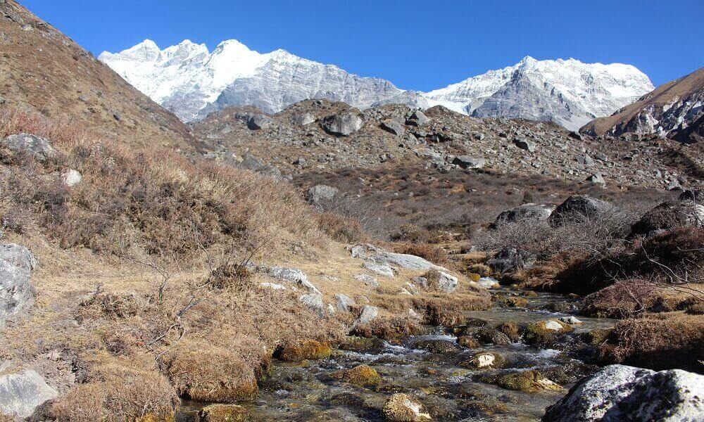 Tharepati to Gul Bhanjyang (2140m).'