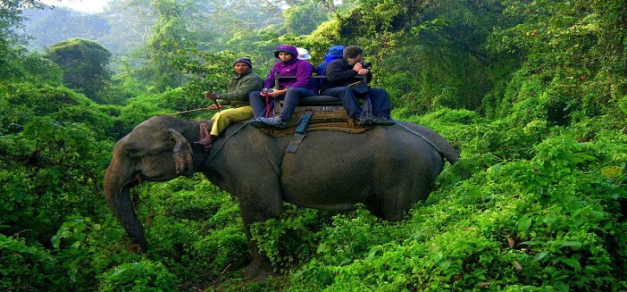 Wildlife Weekend Breaks Nepal