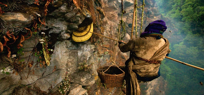 Honey Hunting Tour Nepal