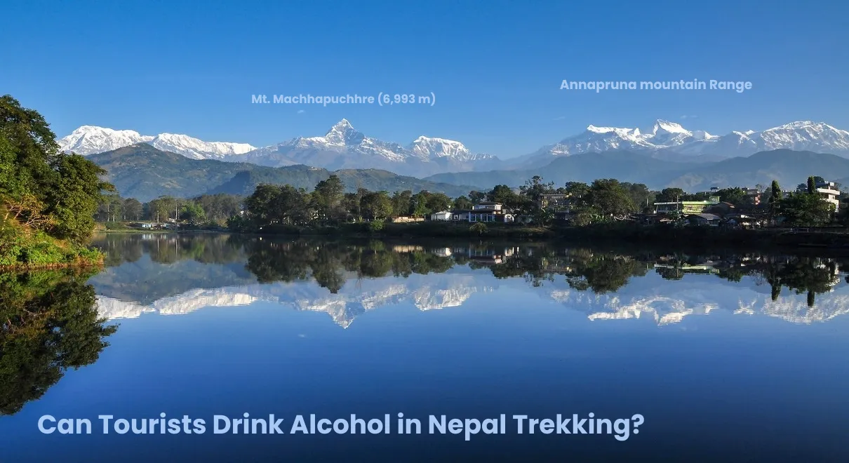 Can Tourists Drink Alcohol in Nepal Trekking?