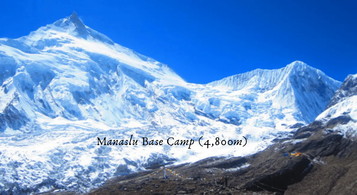 Trekkers hiking to Manaslu Base Camp from Samagaun