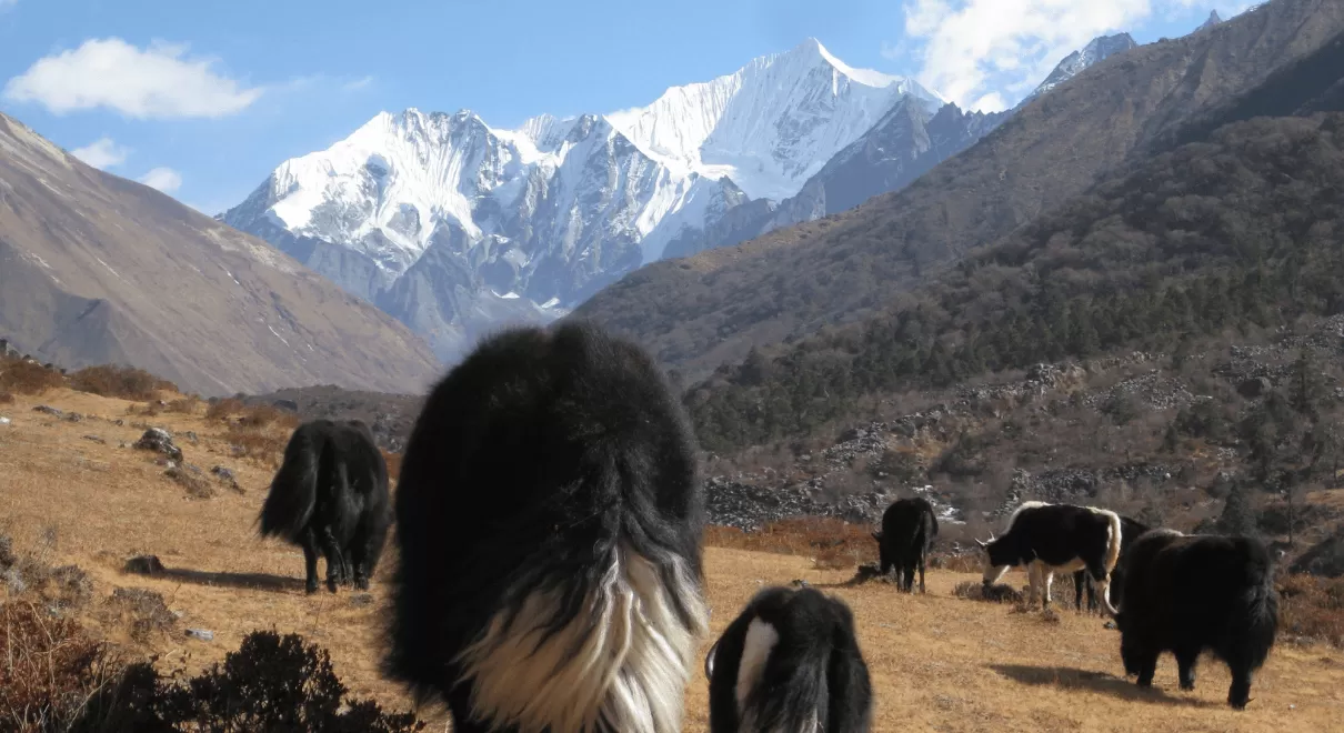 Nepal Trekking in Monsoon