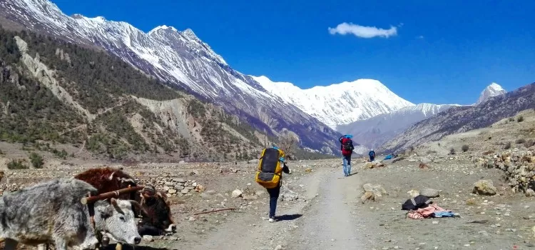 Trekking in dry Himalayan terrain – top 5 treks to do in summer in Nepal