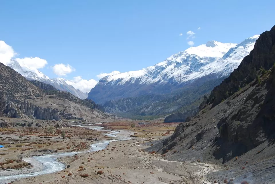 Dogs walking on mountain trail in Annapurna region Nepal with snow-capped peaks in background