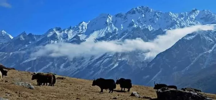 Mount Everest located on the Nepal–Tibet border in the Himalayas