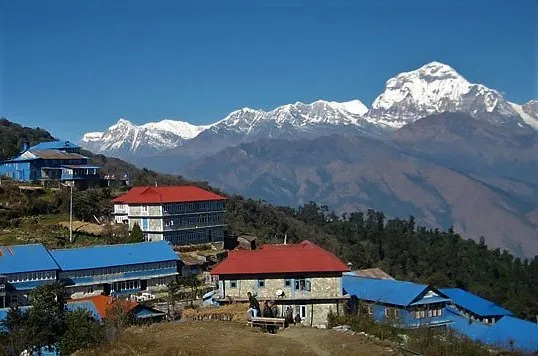  Tadapani to Ghorepani (2,874m)