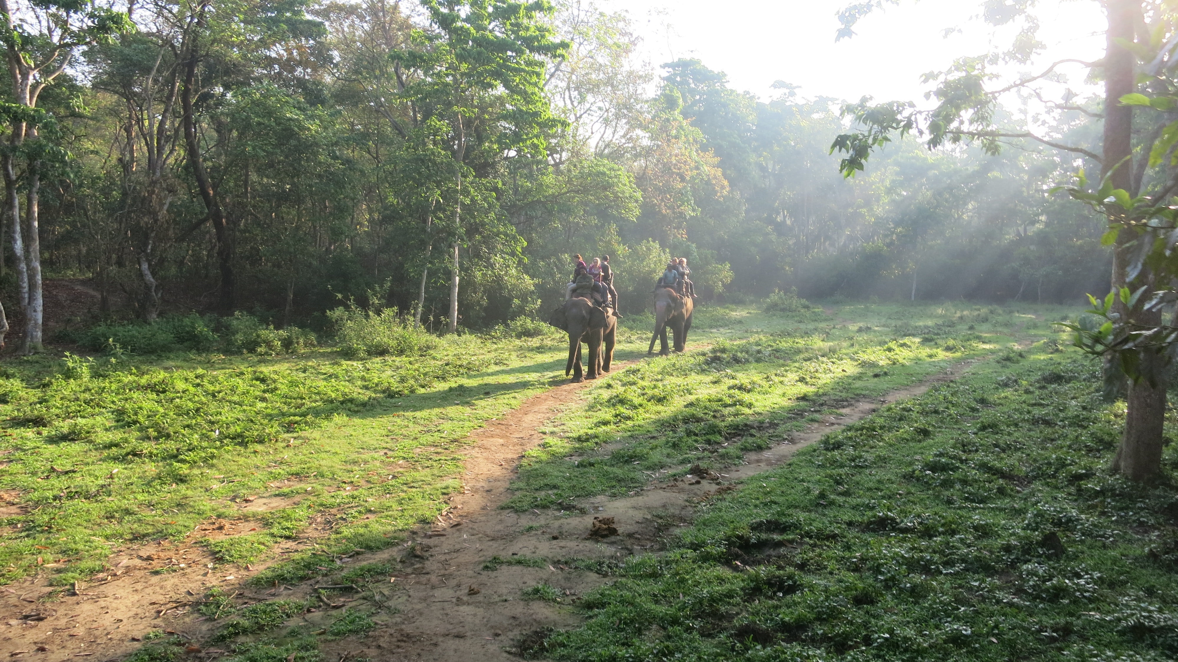 Fly to Bharatpur and transfer to Chitwan National Park.'