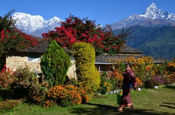 Trek to Phedi and drive to Pokhara