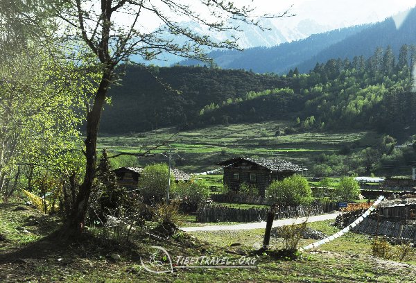 Trek Dharapani to Lulang.