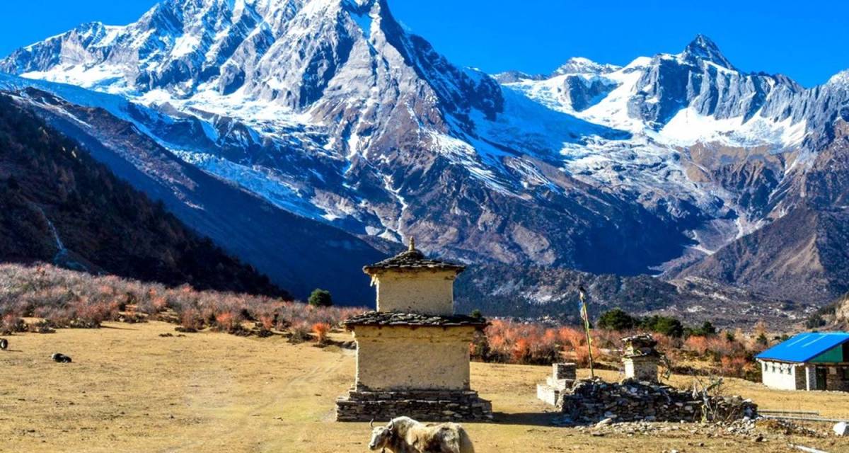 Trek to Dharamsala'