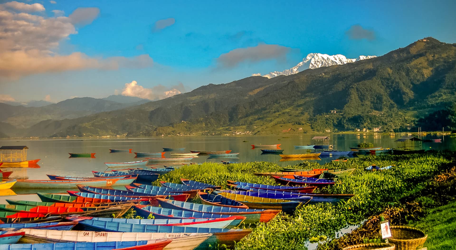 Birdwatching. Drive Chitwan to Pokhara.'