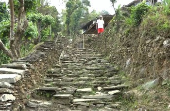 Trek to Phedi. Drive to Pokhara'