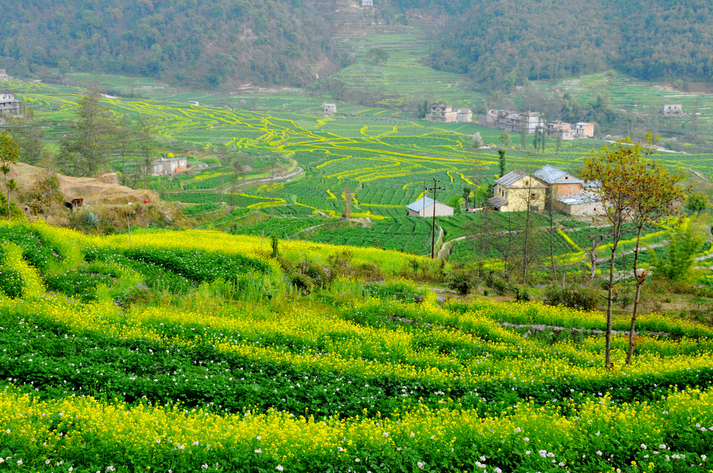 Morning Hike to Sankhu town and return back to Kathmandu.'