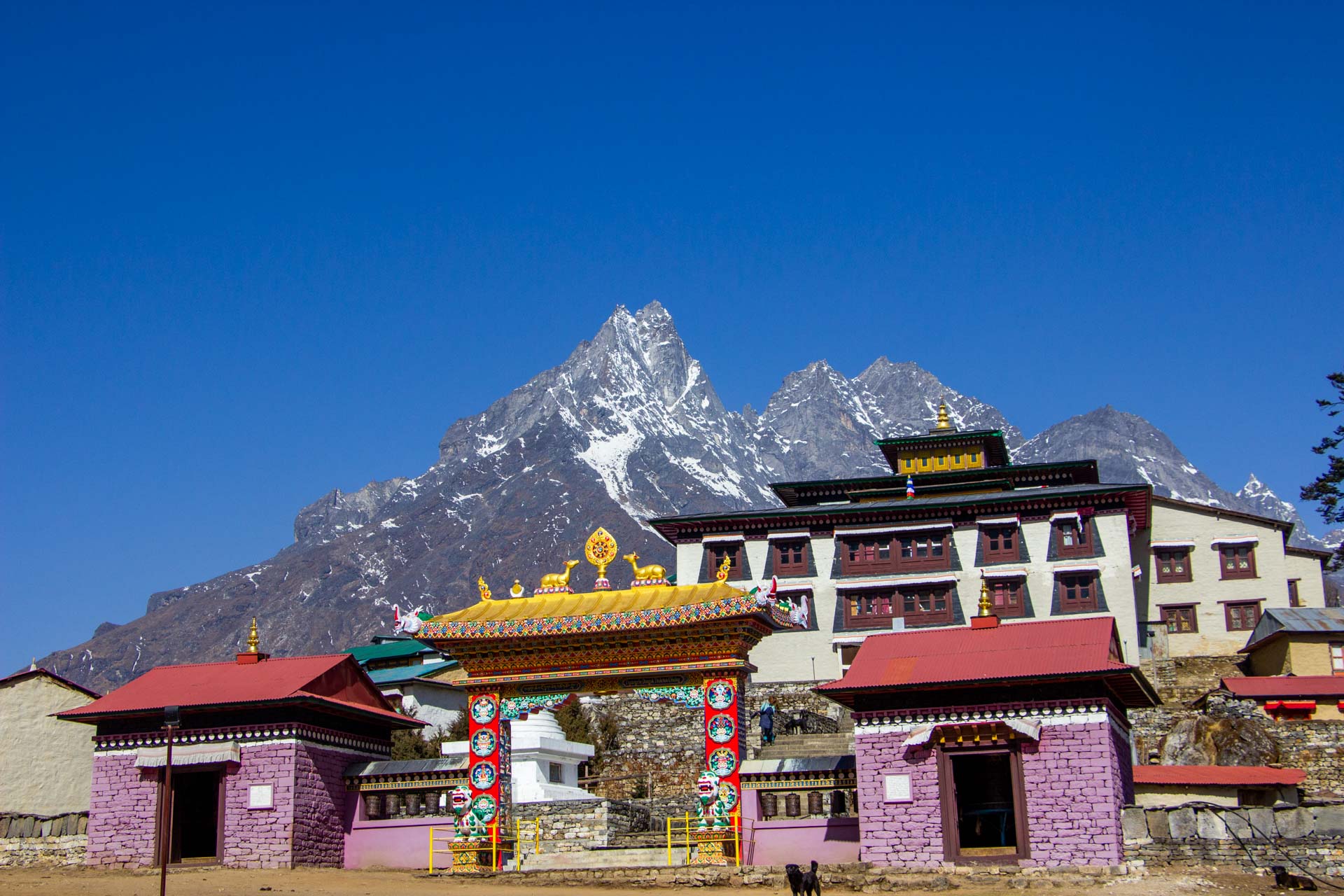  Phunki Tenga to Tengboche Monastery (3,870m/12694ft)