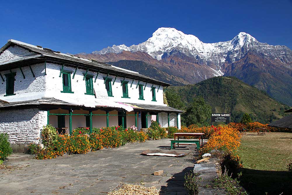 Trek to Ghorepani'