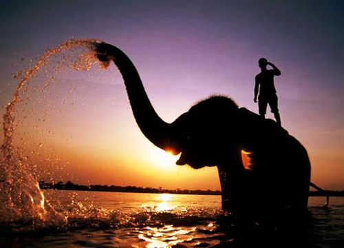 Evening Sunset view. Elephant Bath