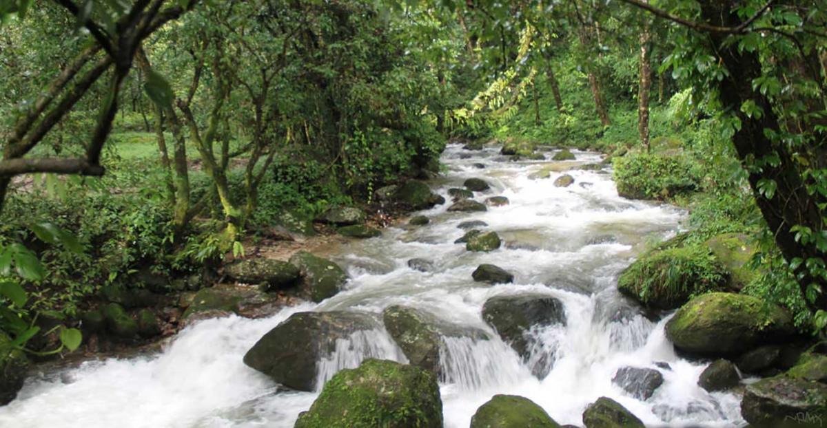 Drive Sundarijal. Trek to Chisapani'