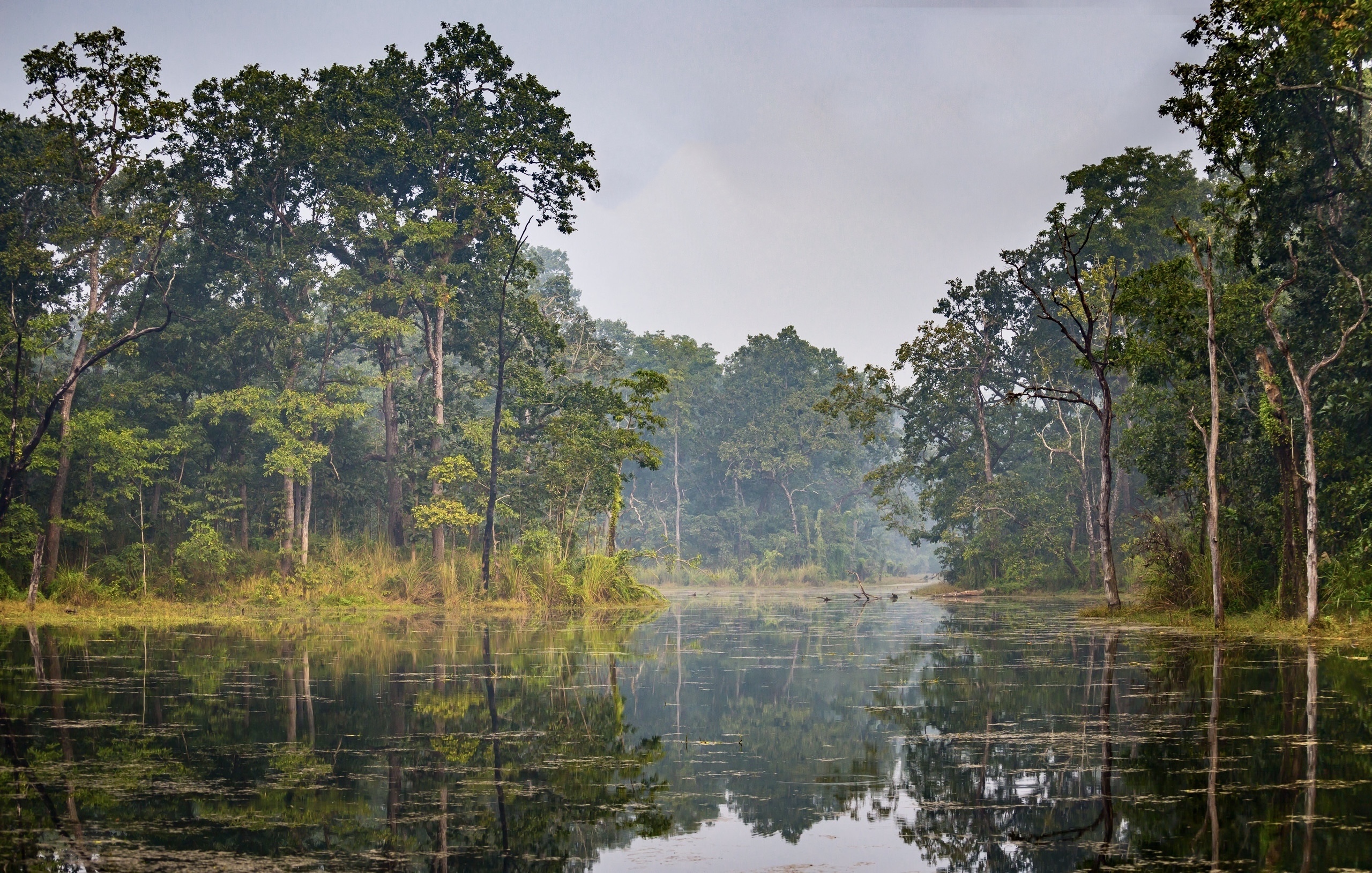 Morning to Bees Hazr Lake, Ramsar Site with wetland bird life.'