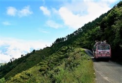 Drive to Pokhara (5hrs)