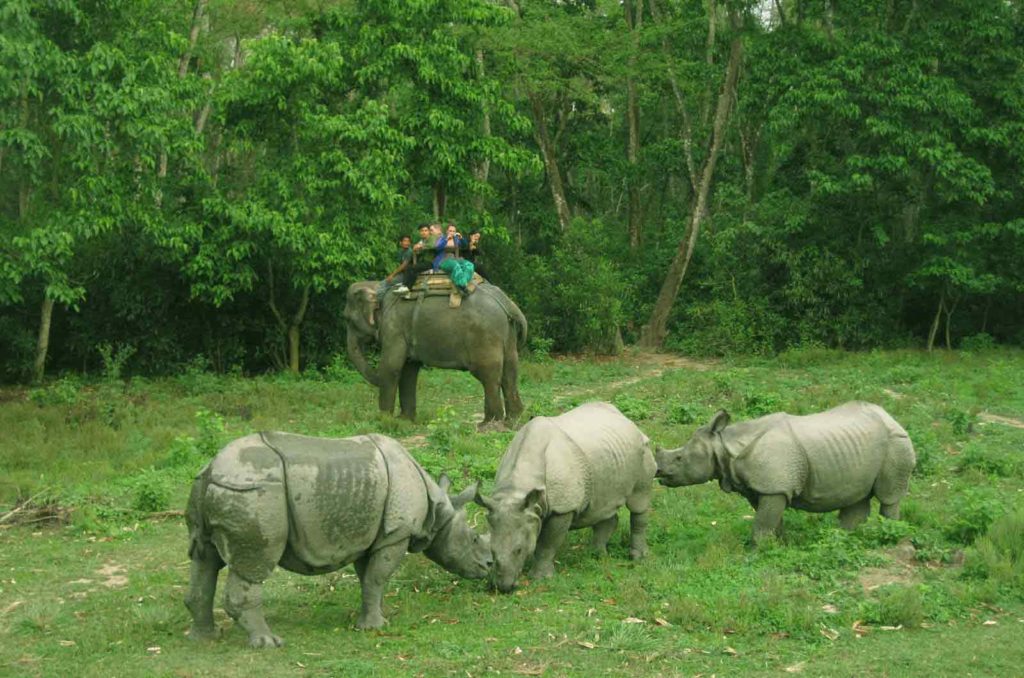 Full day cultural and bird watching tour with a visit of Chattara.'