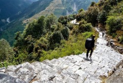 Trek to Phedi and drive to Pokhara