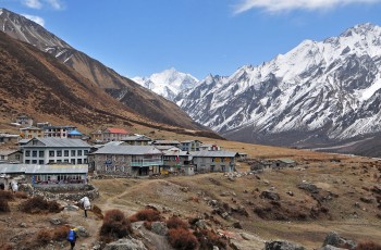 Trek from Lama Hotel to Langtang Valley'