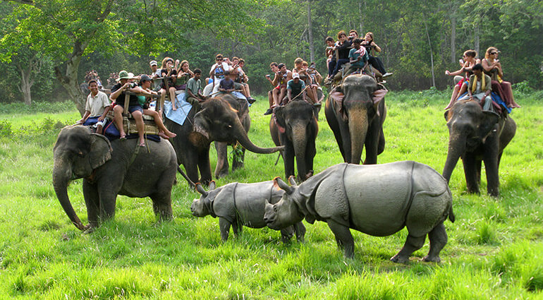 Drive to Chitwan National Park.'
