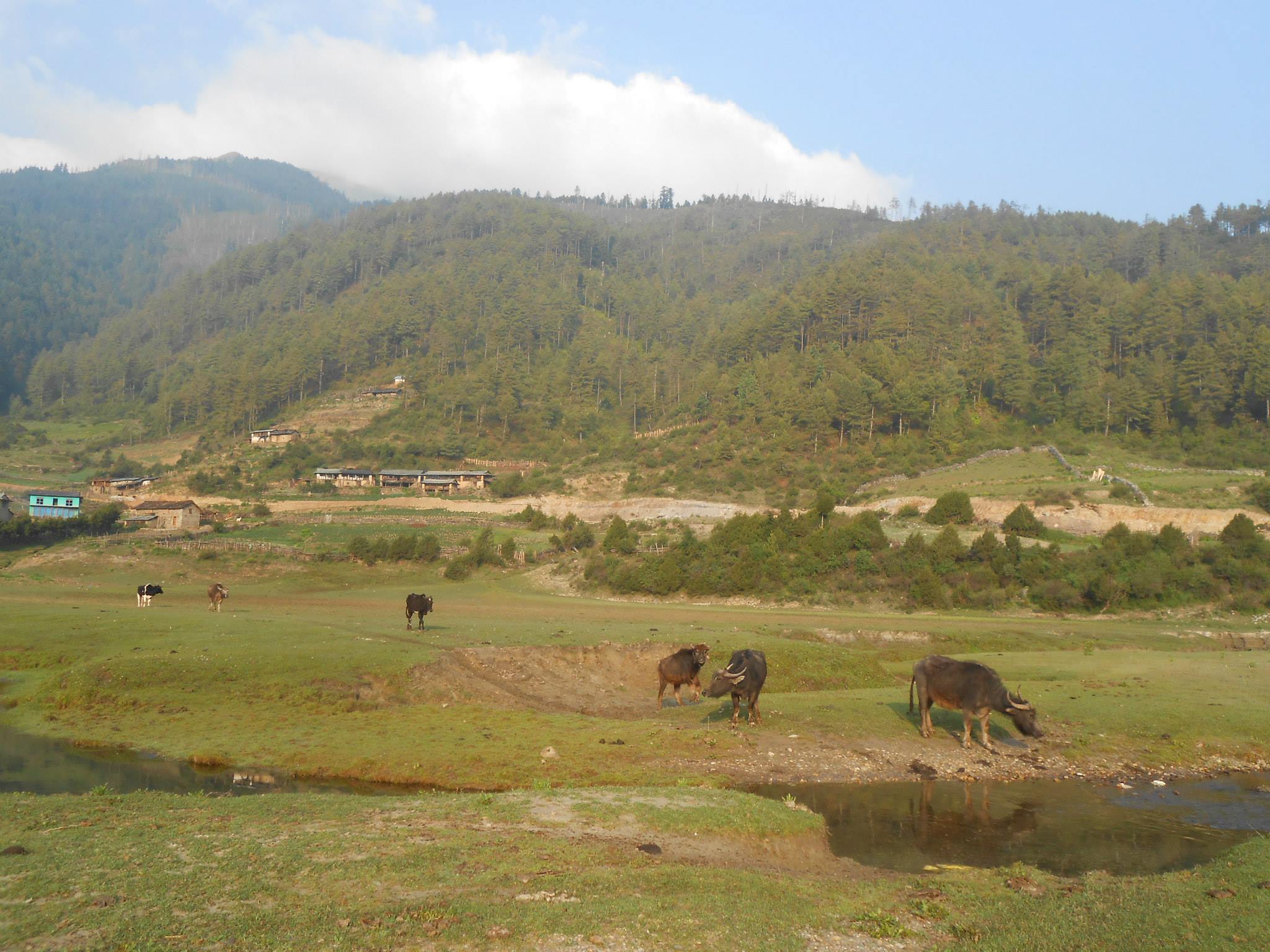 Trek Chhentung to Dhorpatan.'