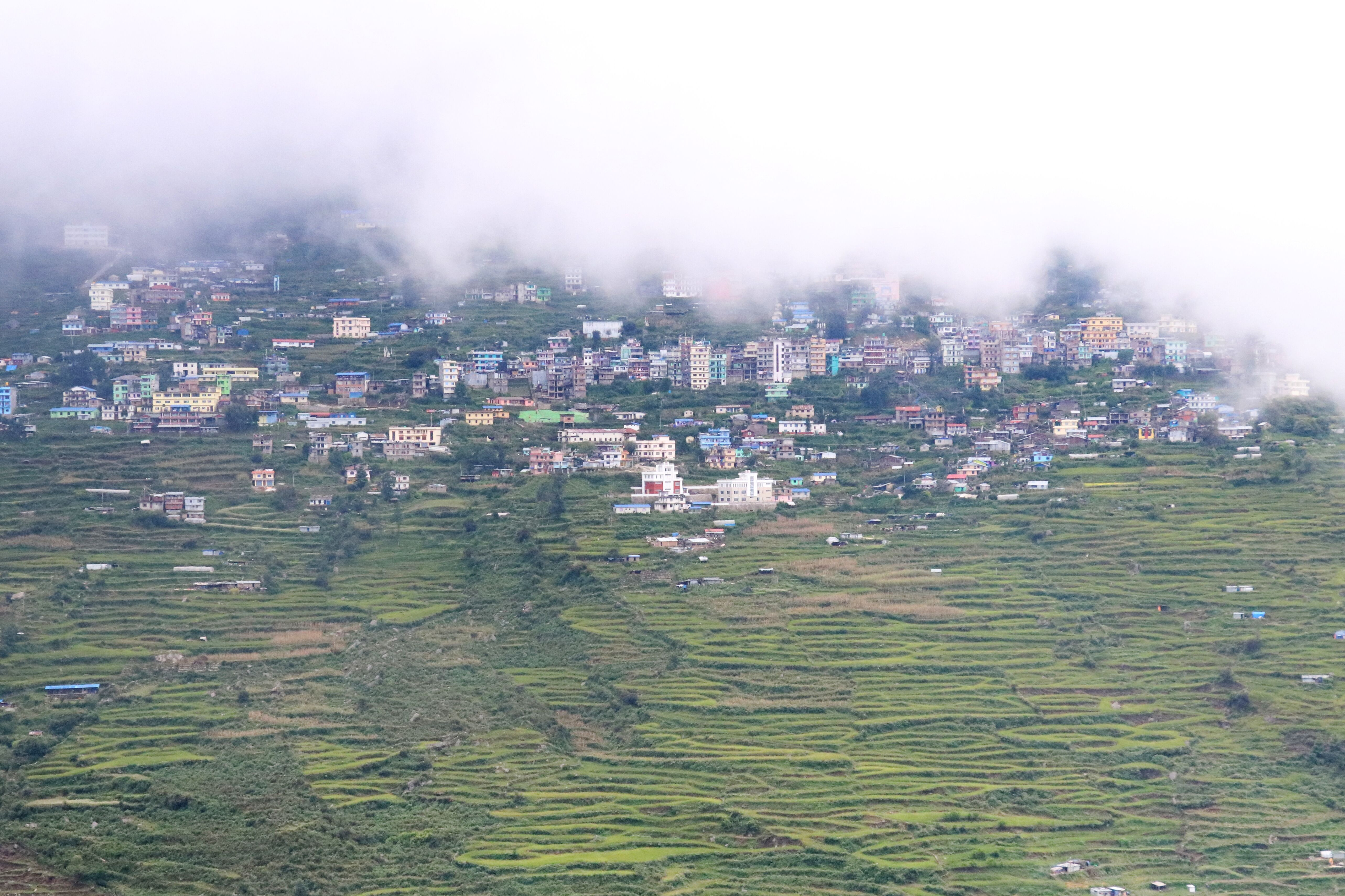 Thulo Syabru to Dhunche (1950m)'