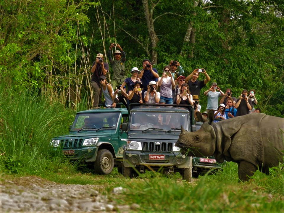 Drive to Chitwan National Park'