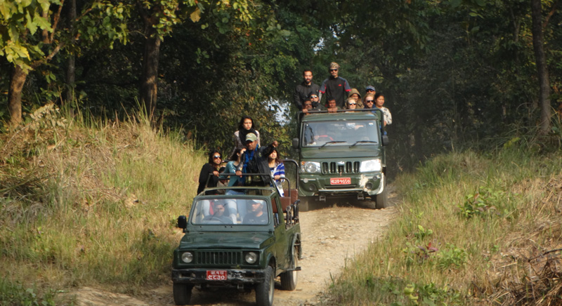 Jungle Safari. Village observation'