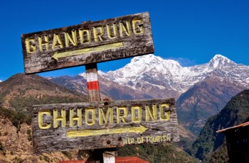 Trek from Tadapani to Chhomrong'