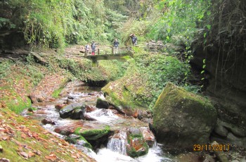 Trek to Ghorepani (2,840m).'