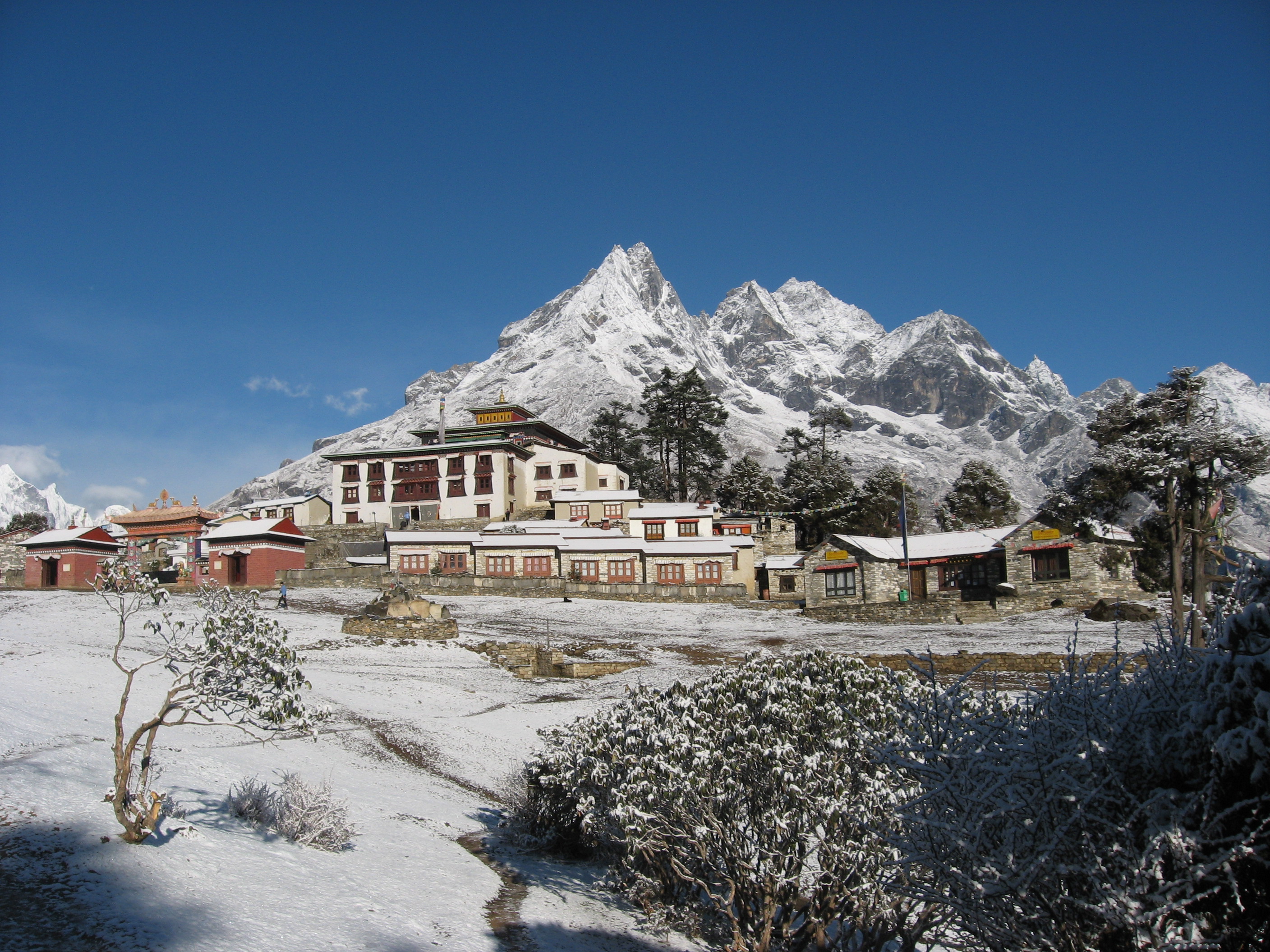 High Camp to Tengbochey / 7hrs walk / Overnight at Mountain Lodge