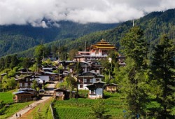 Drive Punakha to Gangtey. Sightseeing.