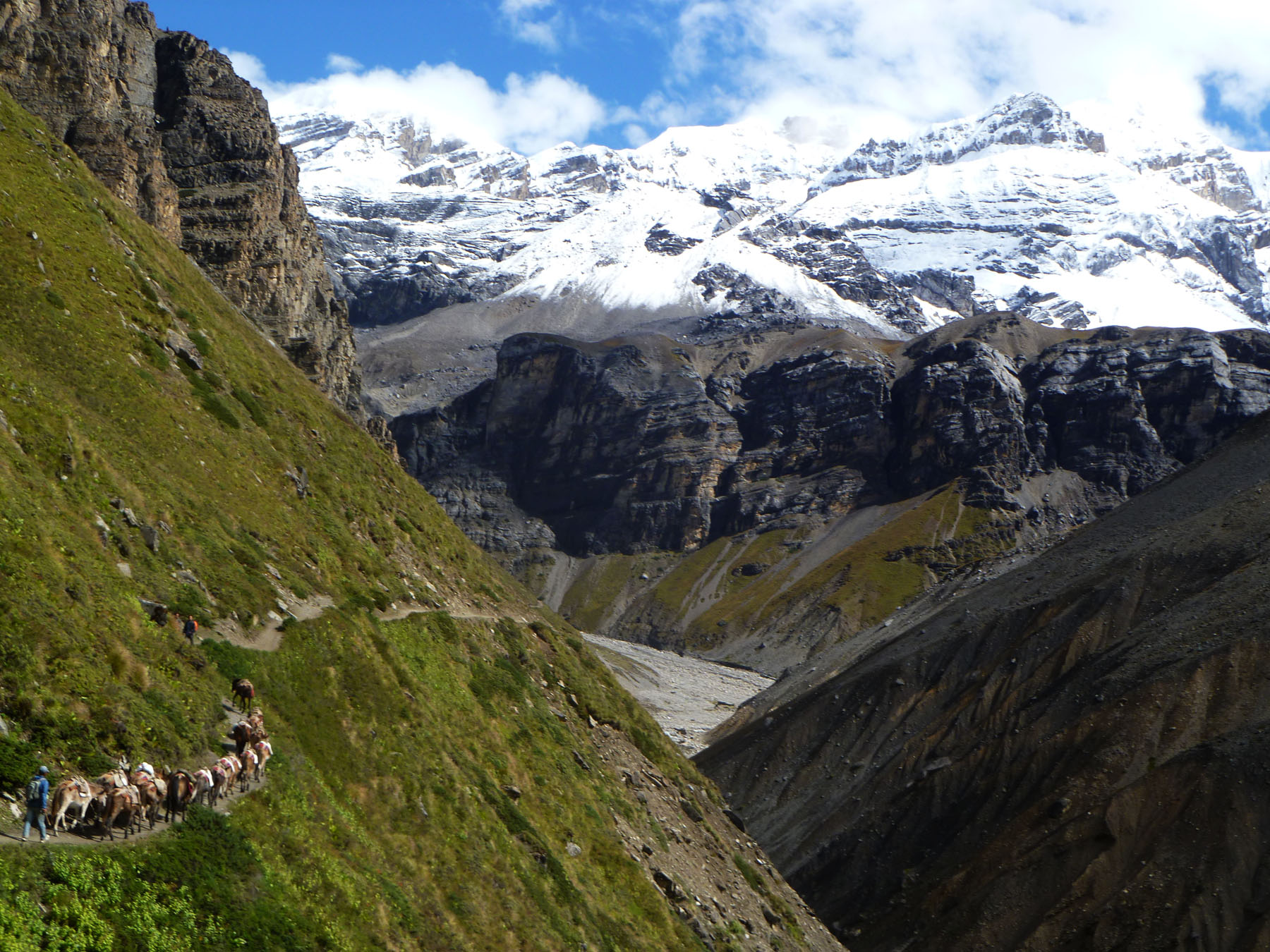 Samdo to Larkya La phedi 4400m/14432ft'