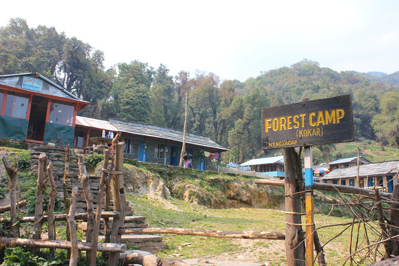  Trek Pothana to Kakar Forest Camp'