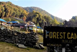 Trek to Forest Camp