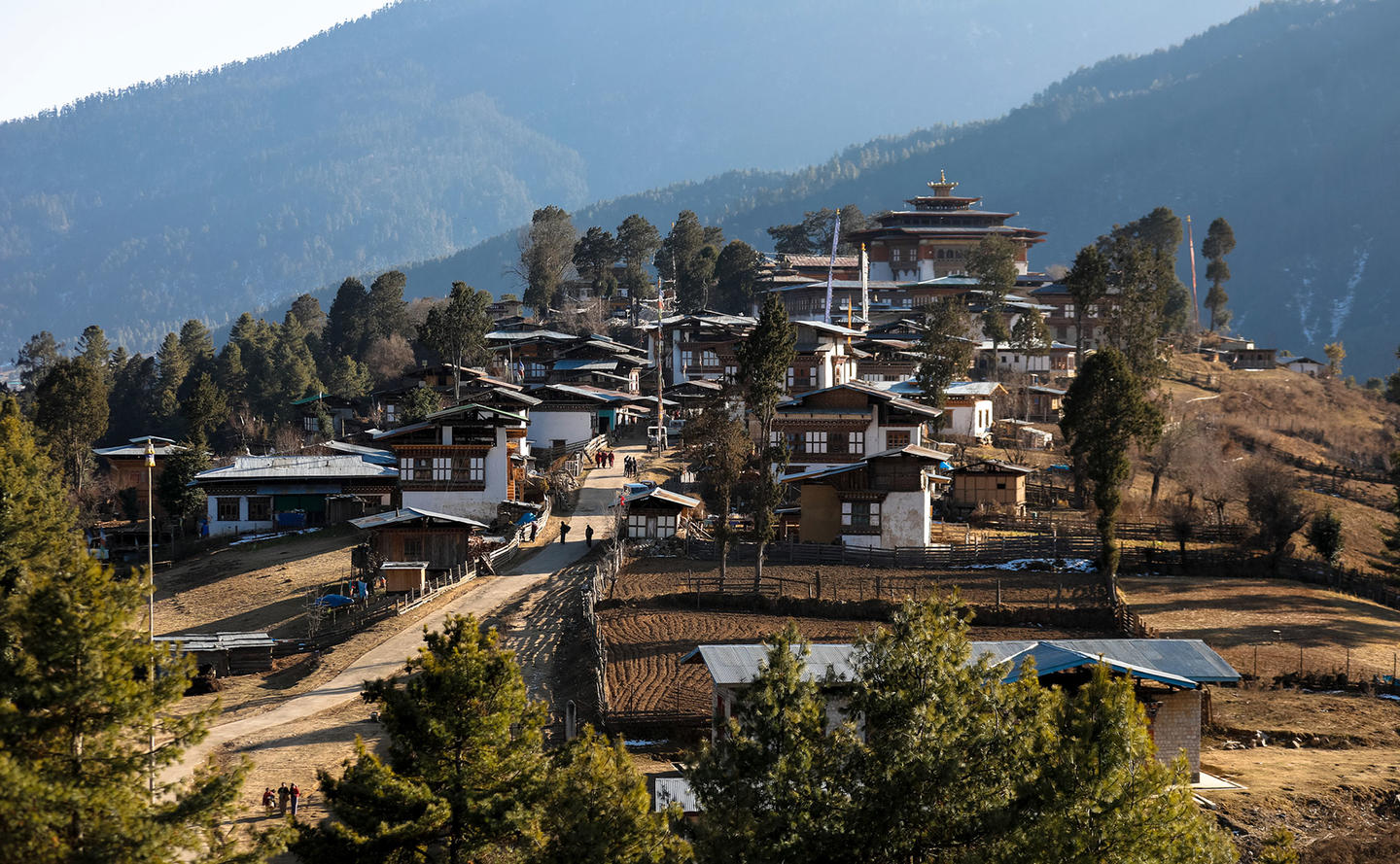 Punakha to Gangtey. Sightseeing. Overnight at Gangtey'