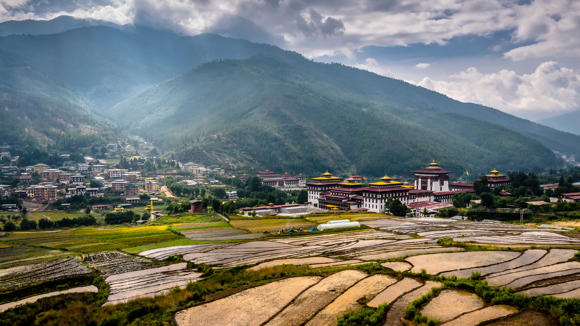 Fly to Paro airport. 1hr drive Paro to Thimpu. Thimphu sightseeing. O/N at Thimphu hotel.'
