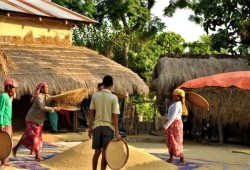 Tharu village tour