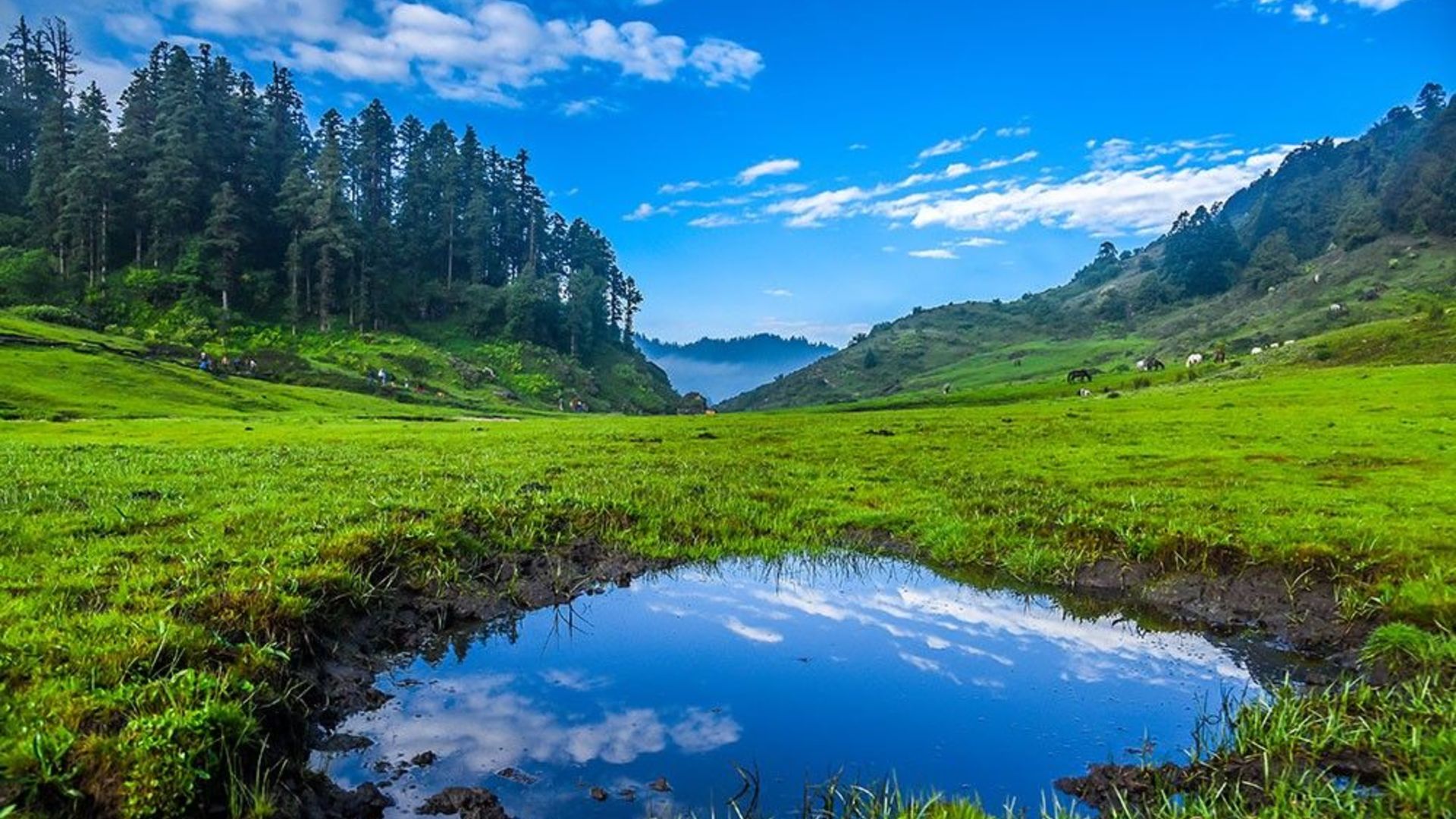 Explore day in Khaptad National Park. '