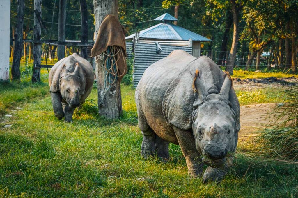 Scenic drive to Chitwan