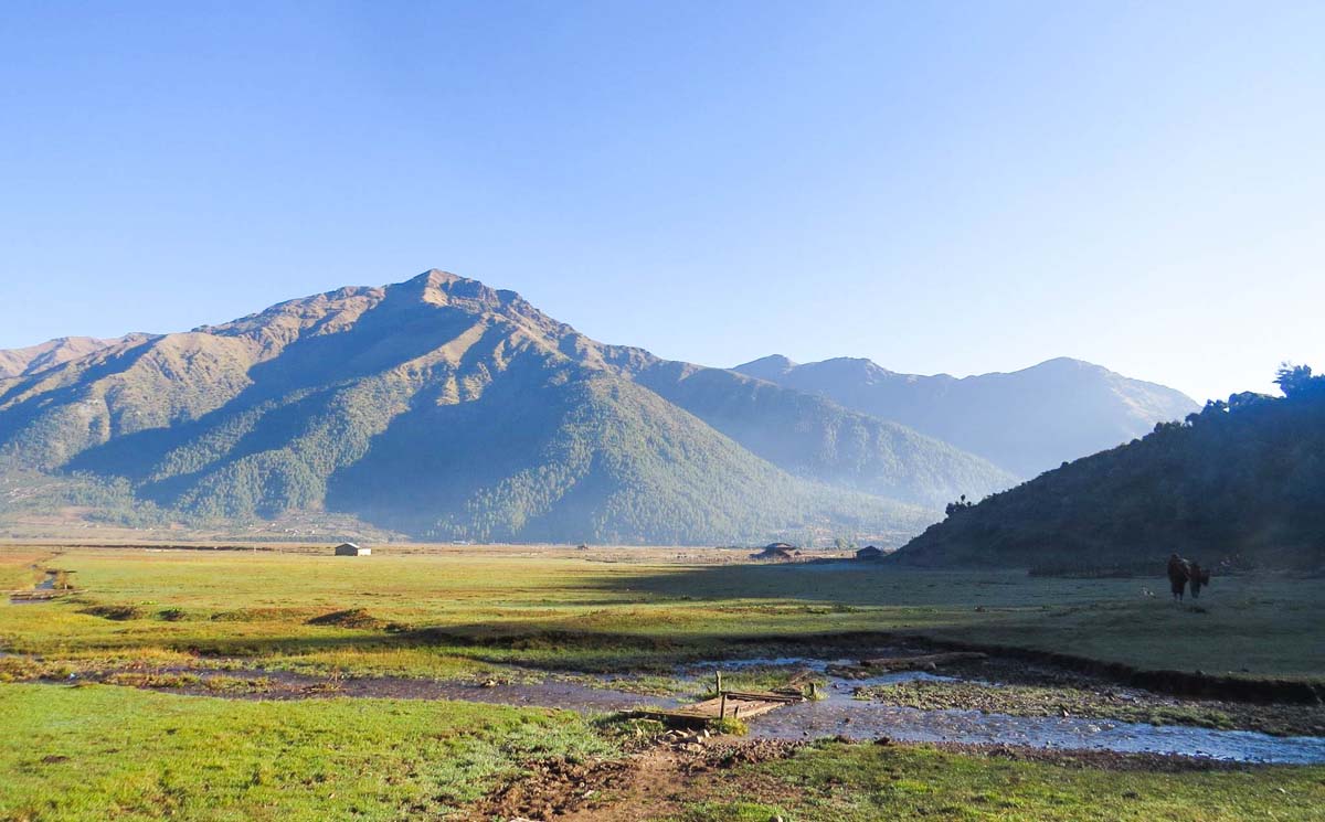 Explore around Dhorpatan. Visit Tibetan refugee camp.'