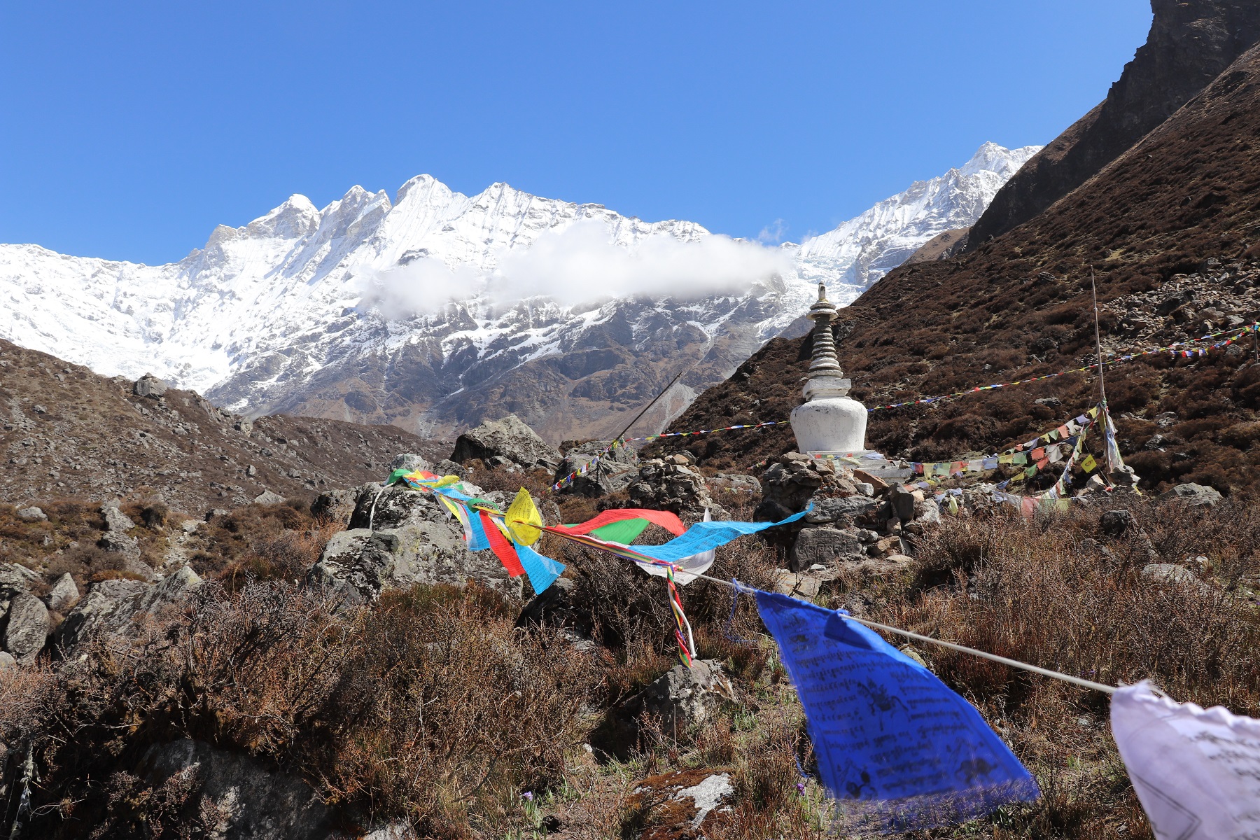 Langtang to Khayanjing gompa(3800m)'