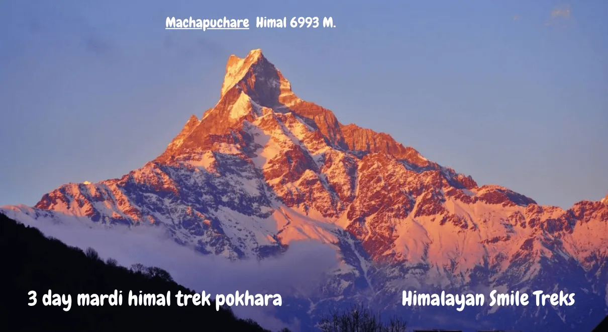 3-Day Mardi Himal Trek from Pokhara with Fishtail Mountain view