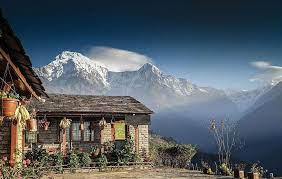 Tadapani to Ghorepani. O/n in Mountain Lodge