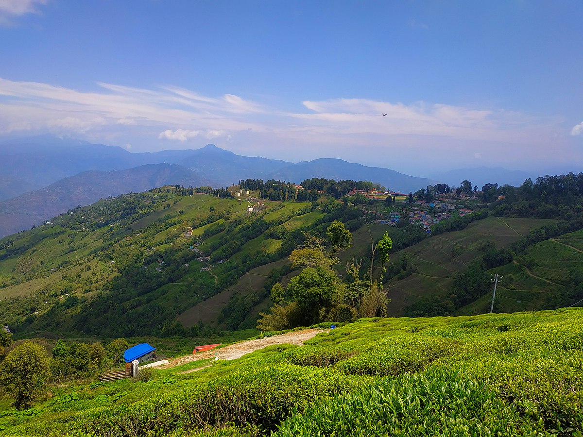 Full day sightseeing of Darjeeling. Overnight at the hotel in Darjeeling.'