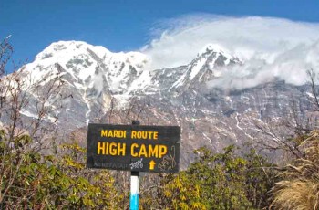 Trek Forest Camp to High Camp'