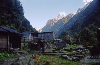 Trek from Annapurna Base Camp to Dovan'